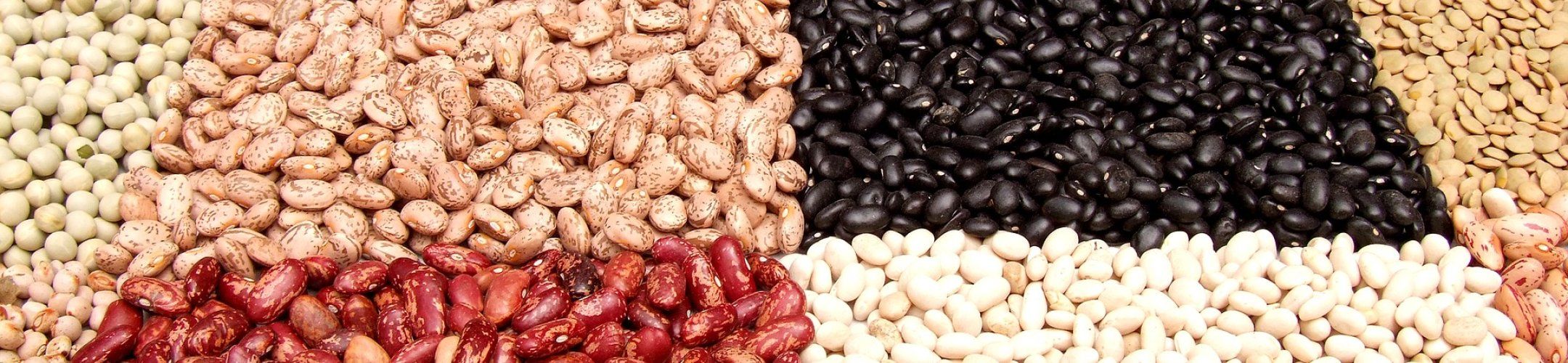 FOSC Knowledge Hub and trainings